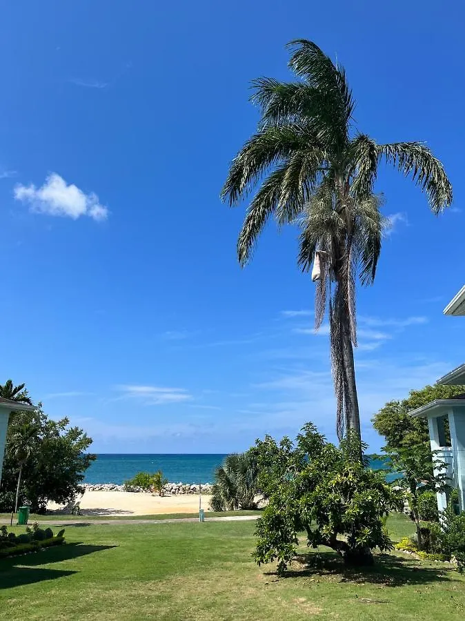 Ferienhaus Stunning 2 Bedroom House At Point Village Negril